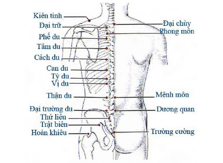 7 huyệt đạo chữa đau lưng hiệu quả giúp giảm đau nhanh và cải thiện cột sống tại nhà